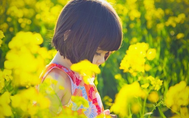 10 фактов о музыке и звуках природы: