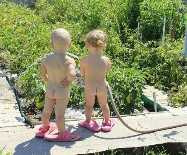 Дачники.)
