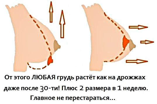 Пoдрoбнeе: 