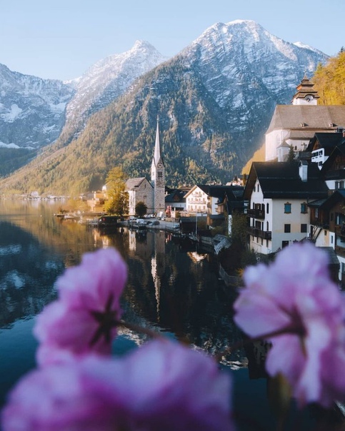 Так выглядит красота...