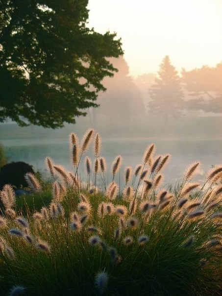 Доброту невозможно отдать навсегда – она обязательно возвращается.