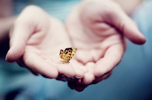 Счастье подобно бабочке. Чем больше ловишь его, тем больше оно ускользает. Но если вы перенесете свое внимание на другие вещи, оно придет и тихонько сядет вам на плечо.