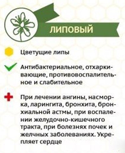 Сорта меда и их влияние на организм 