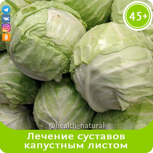 ЛЕЧЕНИЕ СУСТАВОВ КАПУСТНЫМ ЛИСТОМ