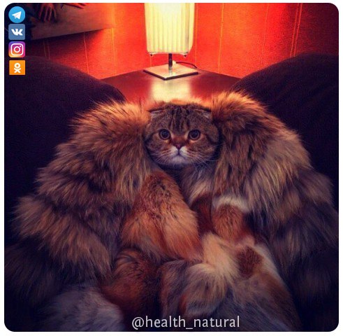 #Юмор@health_natural 