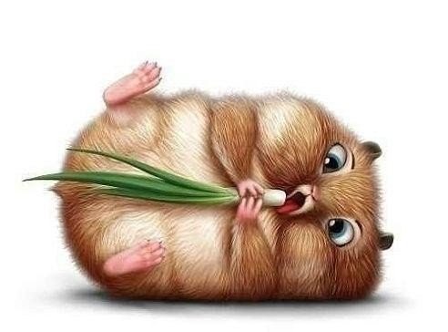 ДОСТАЛИ УЖЕ! Потолстела, потолстела! Да, потолстела! Потому, что пешком мало хожу ... НА РУКАХ НОСЯТ!