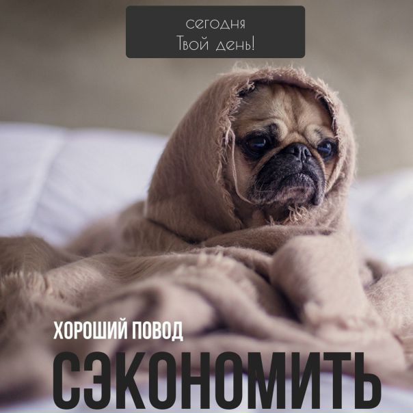 Хотите сэкономить 70% места в своем гардеробе С нашей обувью это абсолютно реально! 