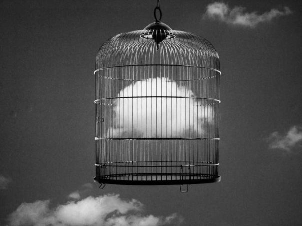 #ErartaLive: и снова о фотоманипуляциях. На этот раз - о выставке, которая пройдет у нас! Проект с однознанчным названием 