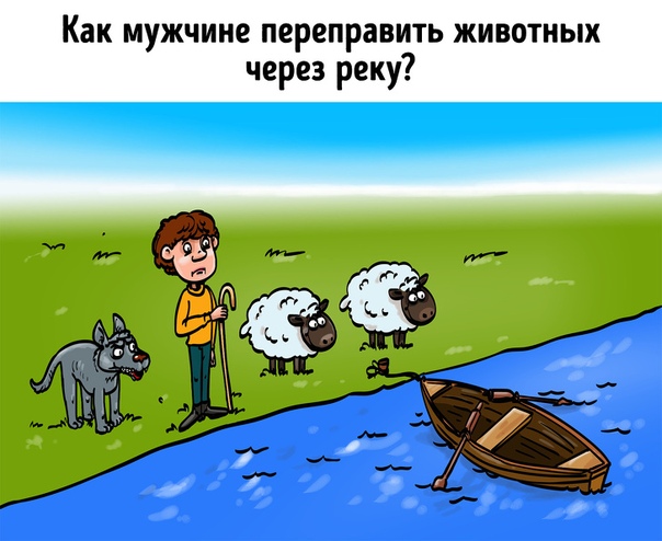 Человек взял в путешествие 2 овцы и волка. Волк с удовольствием напал бы на овец, если бы человек хоть раз оставил их одних. Вот человек доходит до реки, которую необходимо пересечь. Поблизости он находит лодку, но может забрать только одного из своих животных зараз. Помните, что волк съест овец, если они останутся без присмотра.