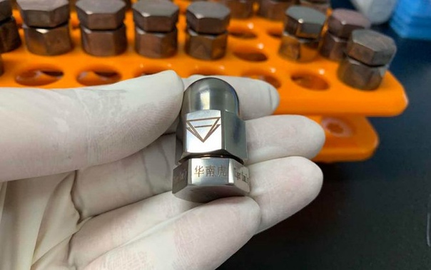 Китайские ученные отправили на орбиту ДНК вымирающего южно-китайского тигра