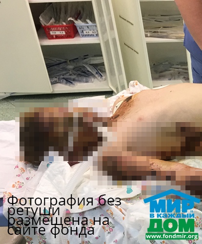 Маша Степанова, 8 лет.