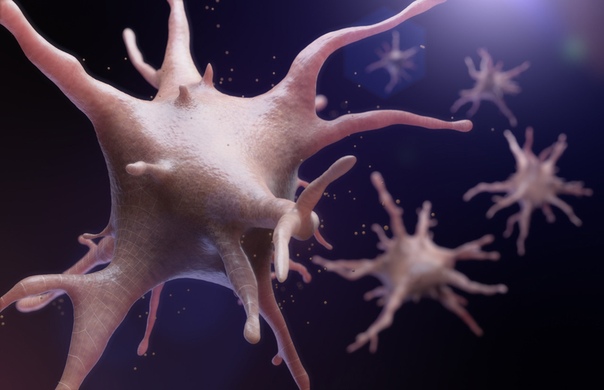 Ученые из Швеции получили иммунные клетки из клеток кожи