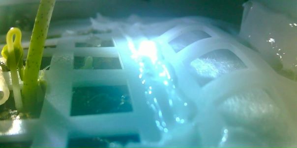 Зонд “Чанъэ-4” завершил первый биологический эксперимент на поверхности Луны