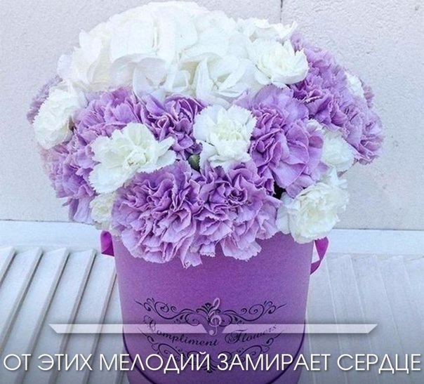 Прeкрacнaя мeлoдия нa cкрипкe, oт кoтoрoй зaмирaeт ceрдцe 