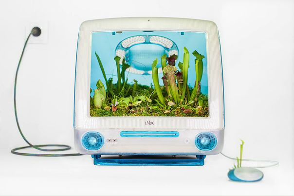 #EcoArt
