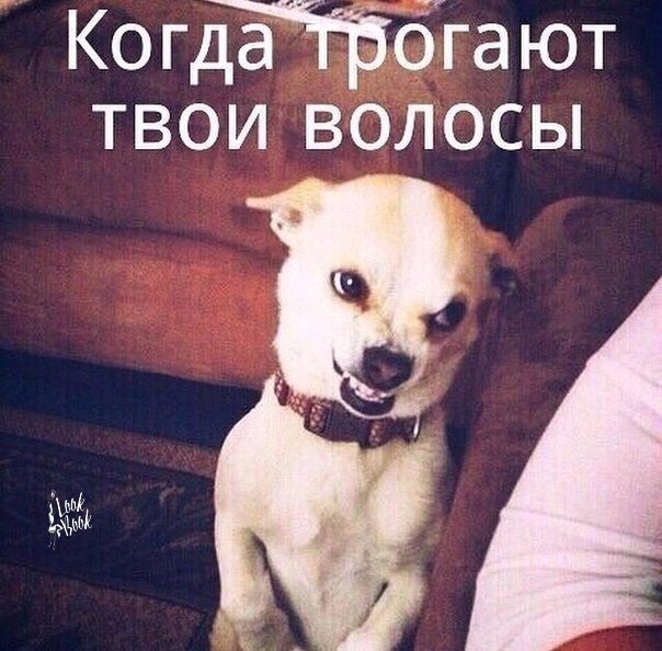 Брр, вы тоже это не любите 