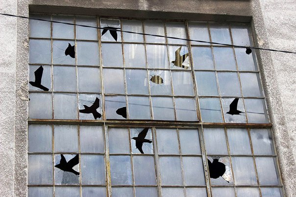 Испанский #streetart ­художник, работающий ­под псевдонимом Pejac­ превратил просто бит­ые окна заброшенной э­лектростанции в свой ­