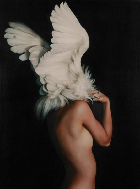 Лондонская художница Эми Джадд (Amy Judd) создала очаровательные современные образы полуптиц-полуженщин. Изящные крылья придают сюрреалистическим портретам легкость и воздушность.