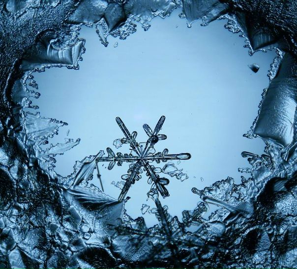  9 выставок в Эрарте на этих выходных