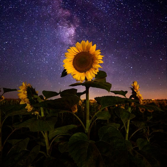 Подборка мудрых притч 