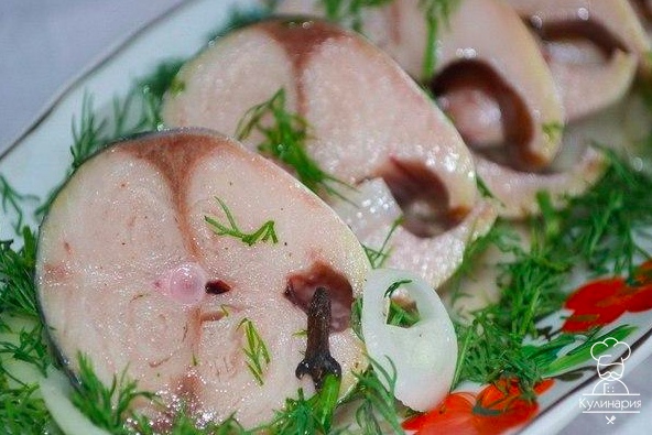 СКУМБРИЯ
