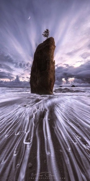 Природа — единственная книга, каждая страница которой полна глубокого содержания. 