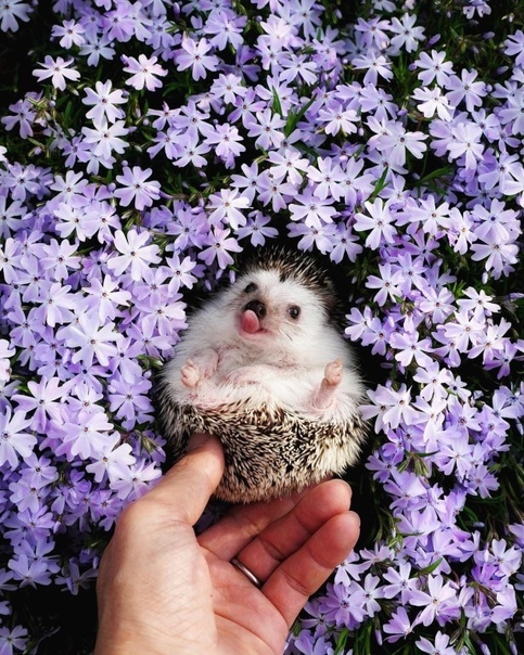 Никто ни от чего не застрахован...От счастья в этом мае, например. 