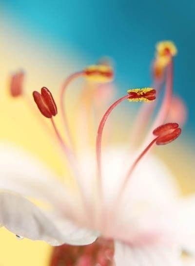 Не сделаешь ты, сделает кто-то другой. Не напишешь ты, напишет кто-то другой. Не будешь рядом ты, будет кто-то другой. Не возьмешь все в свои руки, возьмет кто-то другой. Всегда будет кто-то другой...