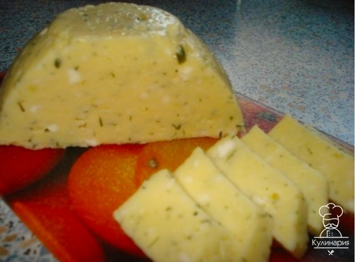 Домашний сыр